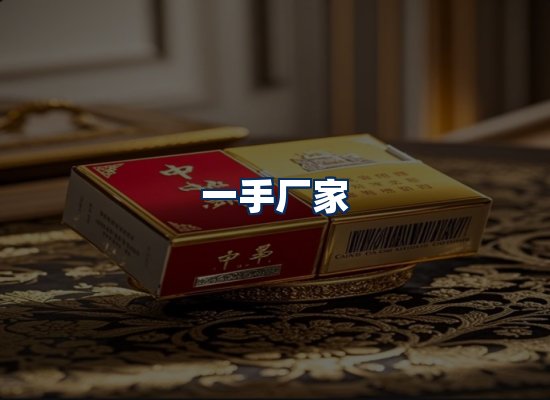 专业团队办公环境